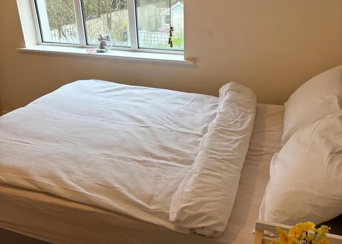 Riverchapel * コータウン